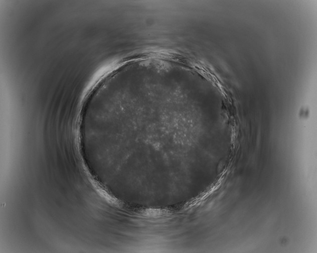 X0000100200101200806131239