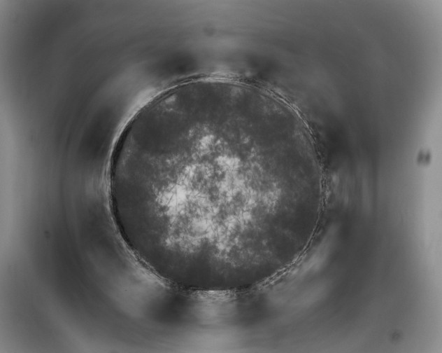 X0000100200102200806131239