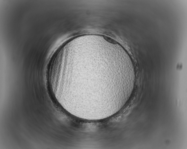 X0000100200103200806131239