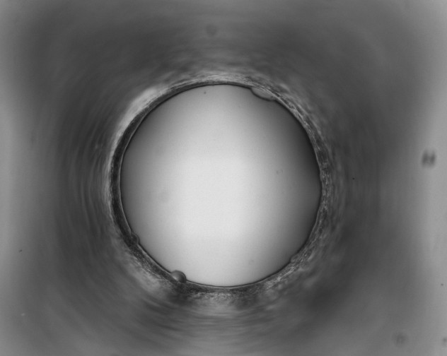 X0000100200104200806131239