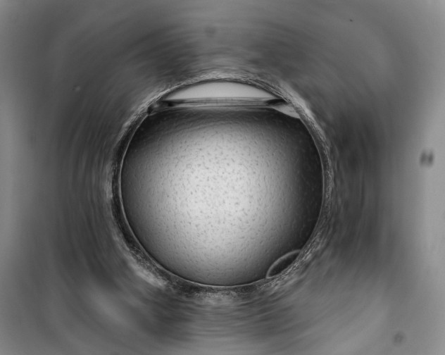 X0000100200106200806131239