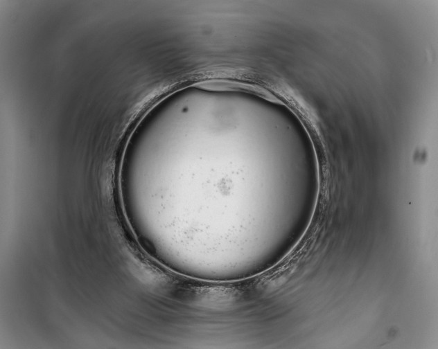 X0000100200107200806131239