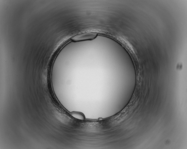 X0000100200108200806131239