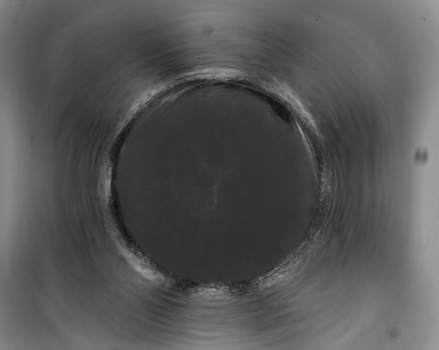 X0000100200110200806131239