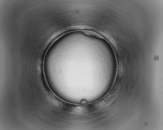 X0000100200111200806131239