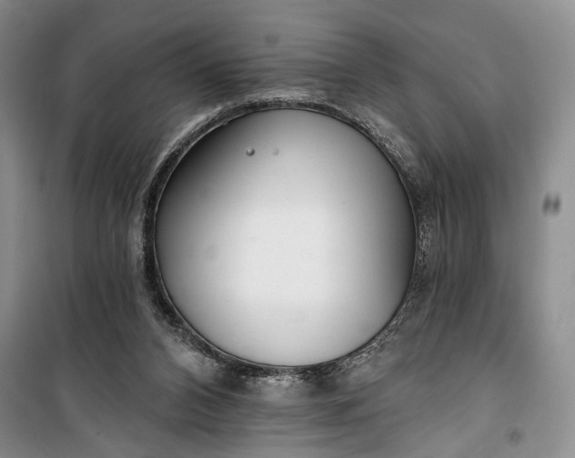 X0000100200112200806131239