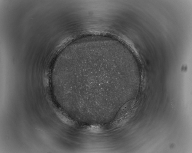 X0000100200114200806131239