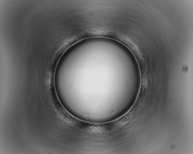 X0000100200115200806131239