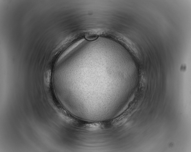 X0000100200118200806131239