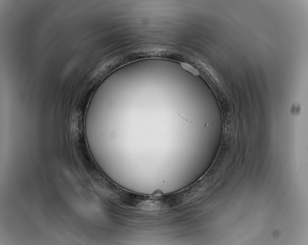 X0000100200119200806131239