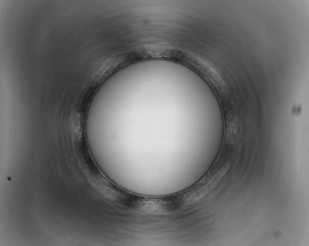 X0000100200121200806131239