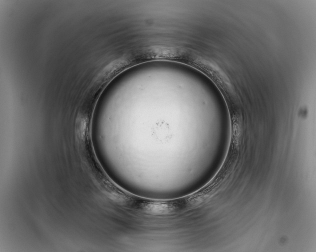 X0000100200123200806131238