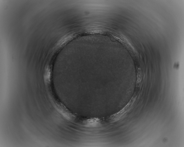 X0000100200124200806131238