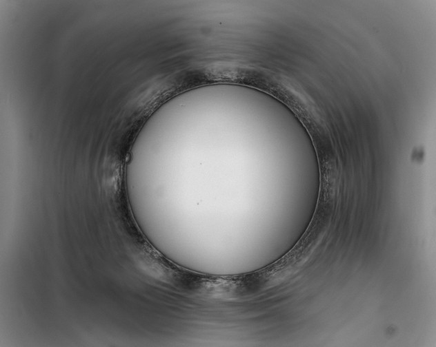 X0000100200125200806131238