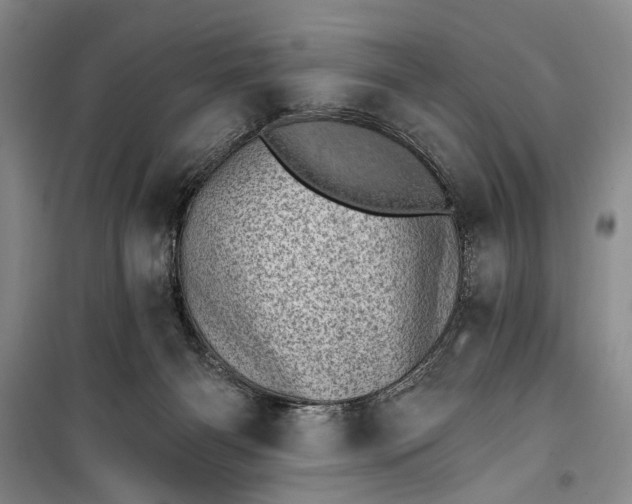 X0000100200126200806131238