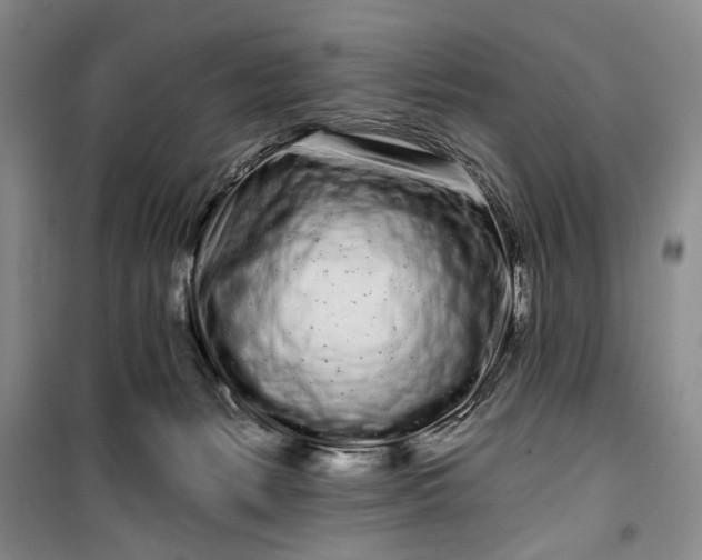 X0000100200127200806131238