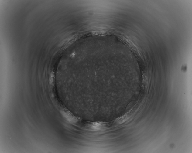 X0000100200130200806131238