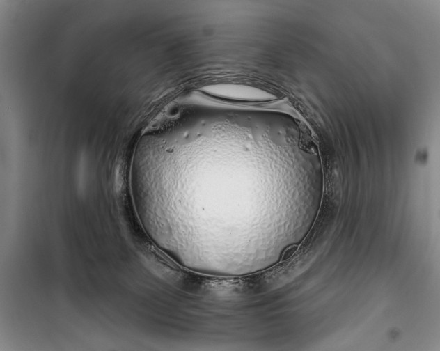 X0000100200131200806131238