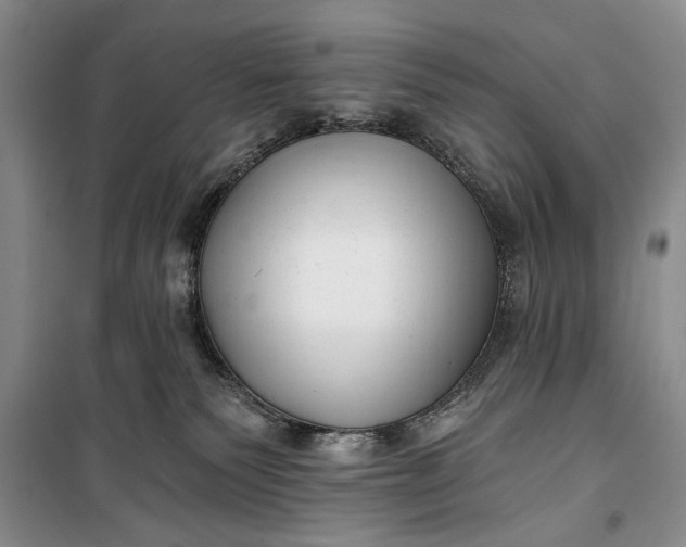 X0000100200135200806131238