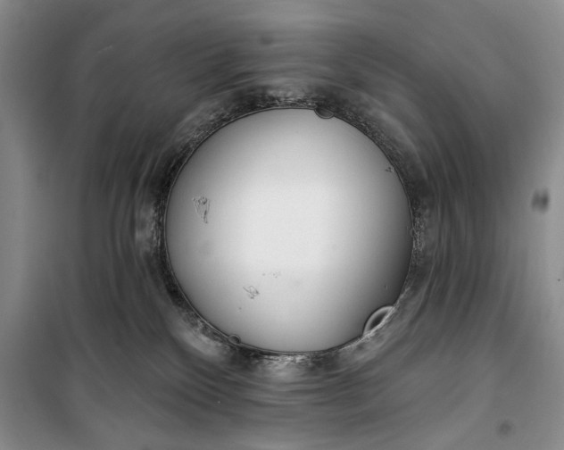 X0000100200136200806131238