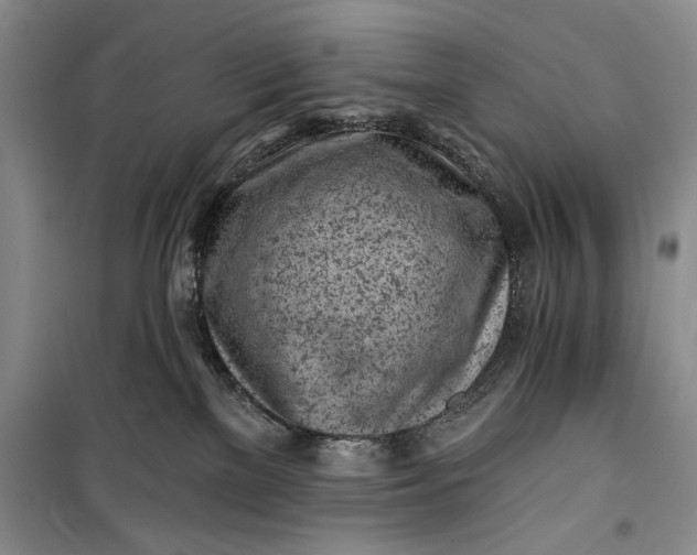 X0000100200137200806131238