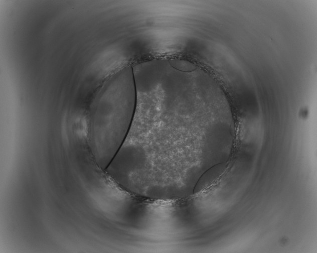 X0000100200138200806131238