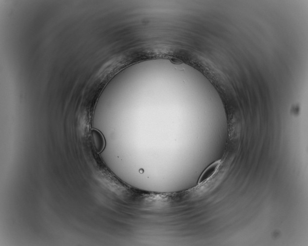 X0000100200140200806131238