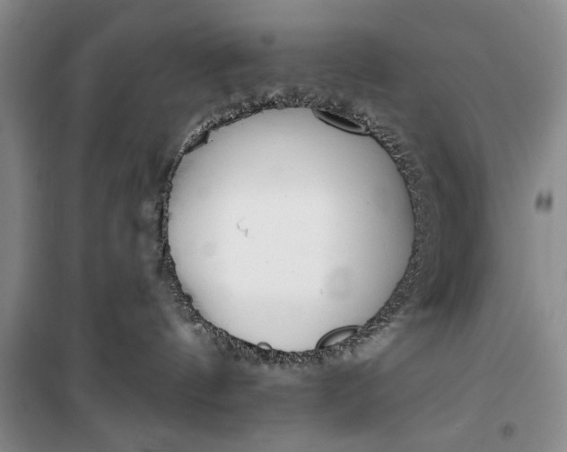 X0000100200144200806131238