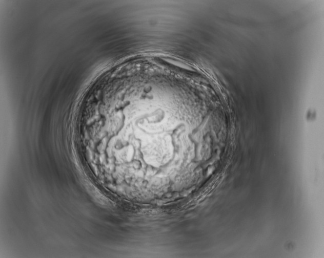 X0000100200145200806131237