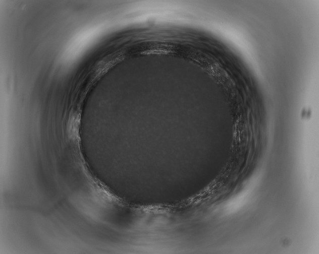 X0000100200146200806131237