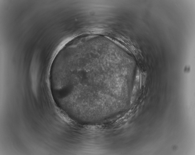 X0000100200147200806131237