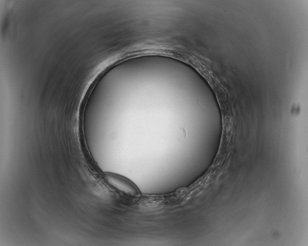 X0000100200148200806131237