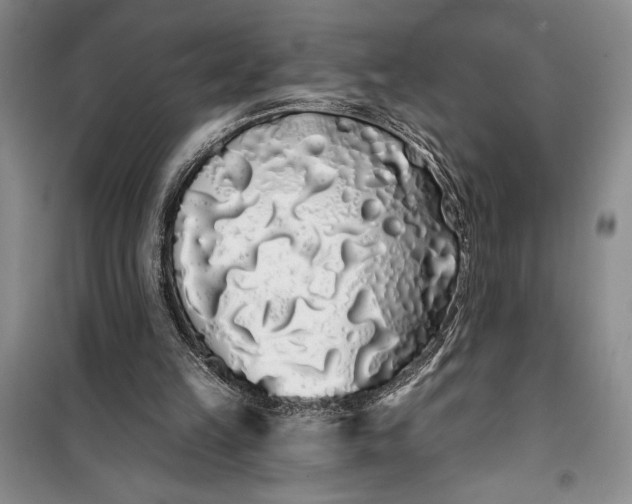 X0000100200149200806131237