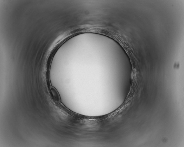 X0000100200150200806131237