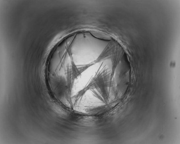 X0000100200151200806131237