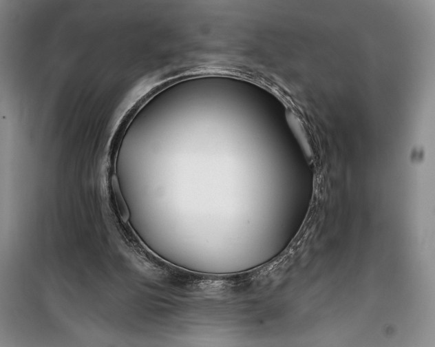 X0000100200152200806131237