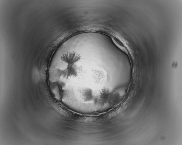 X0000100200153200806131237