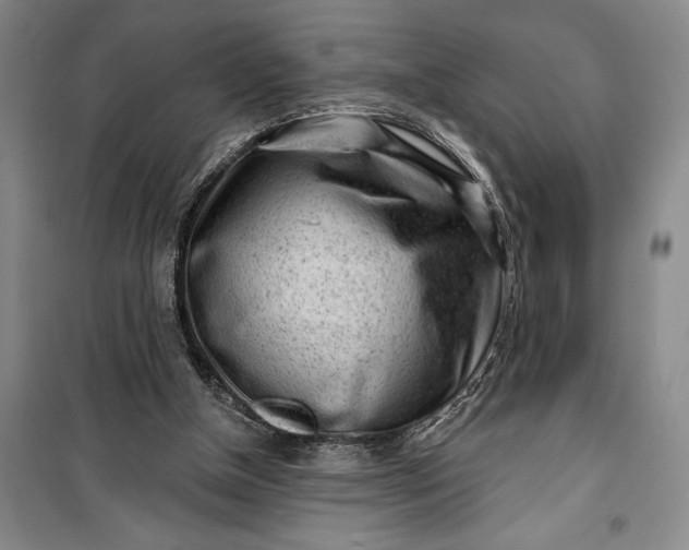 X0000100200154200806131237