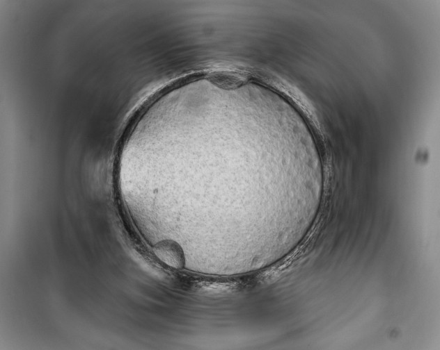 X0000100200155200806131237