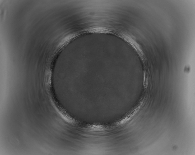 X0000100200157200806131238