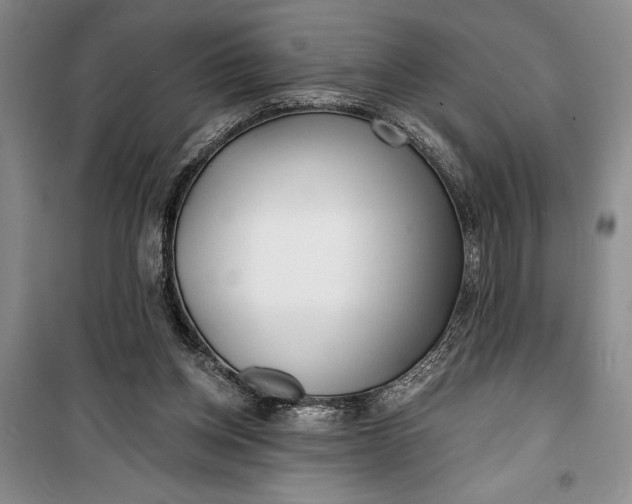 X0000100200158200806131238