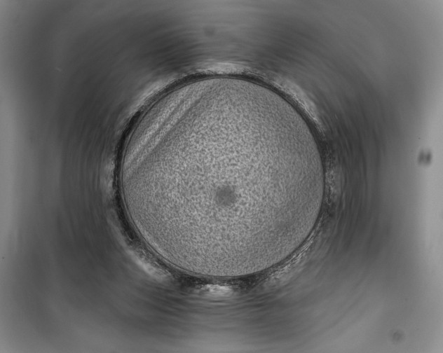 X0000100200159200806131238