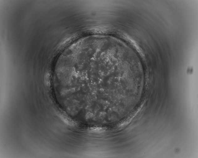 X0000100200161200806131238