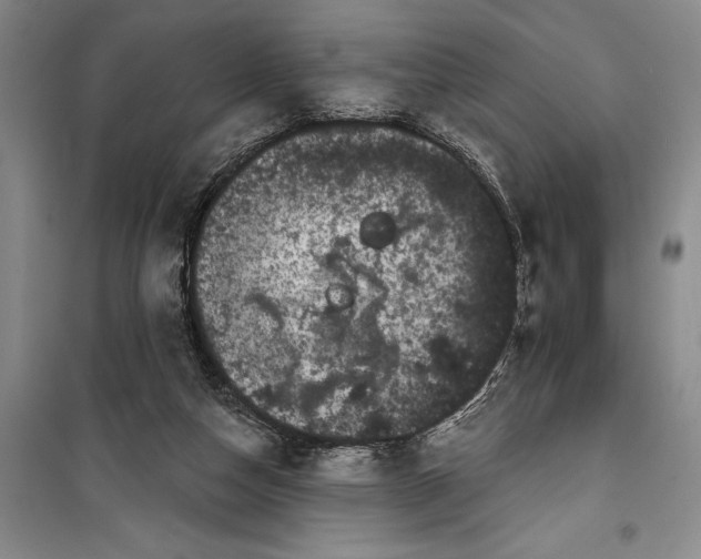 X0000100200162200806131238