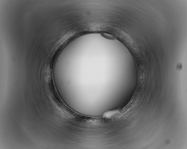 X0000100200164200806131238