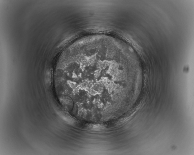 X0000100200165200806131238