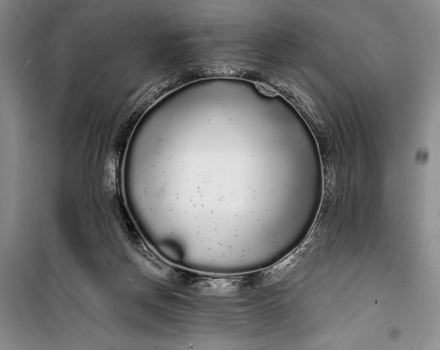 X0000100200166200806131238