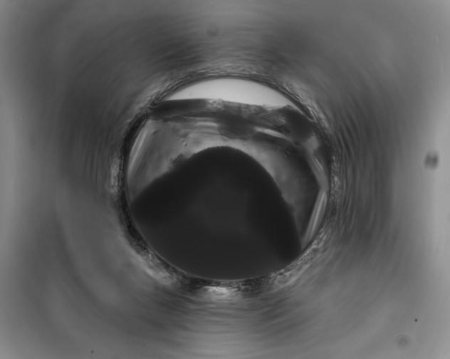 X0000100200167200806131238