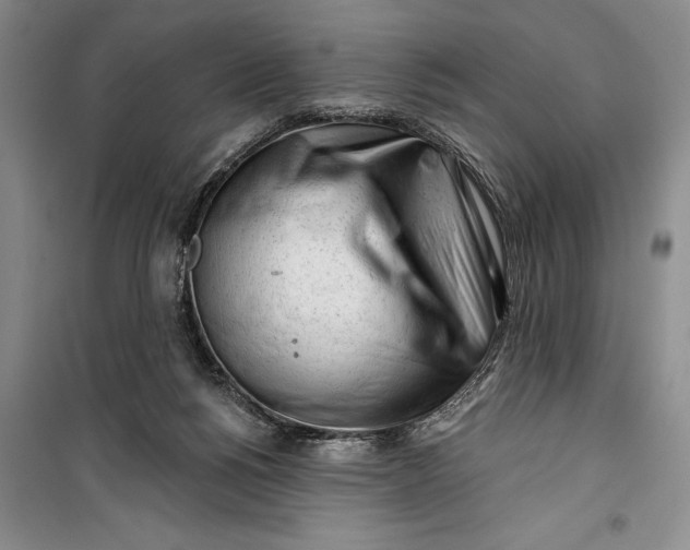 X0000100200168200806131238