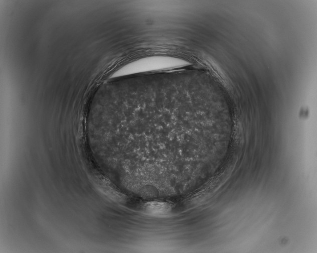 X0000100200169200806131238